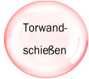 Torwand -   schieen